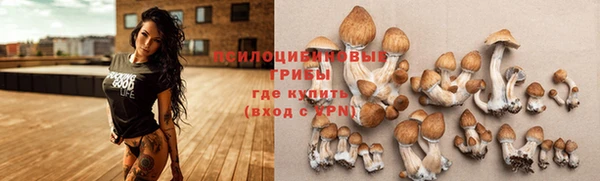 кокаин колумбия Ладушкин