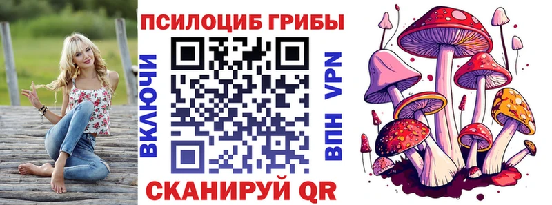 Псилоцибиновые грибы Magic Shrooms  Североморск 