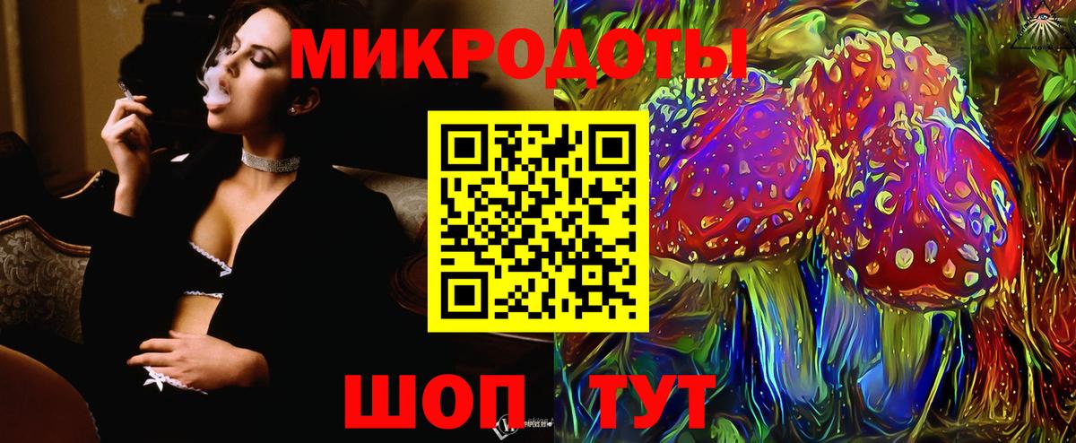 Псилоцибиновые грибы Psilocybe Североморск