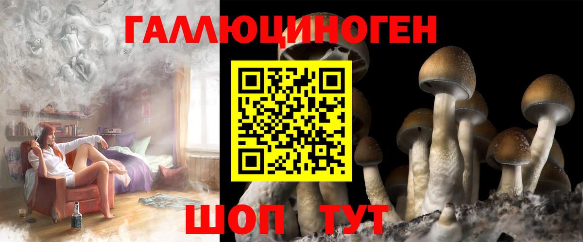 дарнет шоп  Вход с VPN  Североморск  Псилоцибиновые грибы прущие грибы 